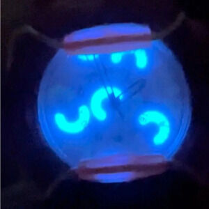 PopHalo Xonex 1990's LED Strobe Unisex Adult Kids Plastic Rubber Watch